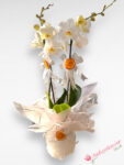 Çift Dallı Beyaz Orkide