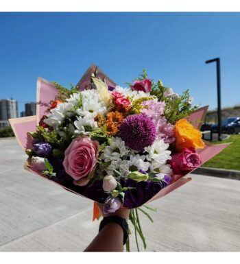 Anastasya & Pembe Güller